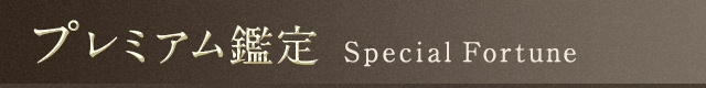 プレミアム鑑定
